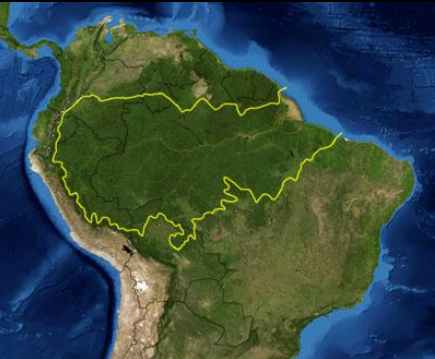 موقع غابة الأمازون